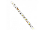 GTV Taśma Flash 2835MW, 300 LED ciepły biały, 3,8W/m, bez żelu 8mm, Rolka 50m, 12V  LD-2835MW-300-20-CB-50
